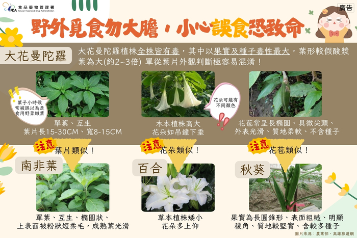 不採不食野生不明動植物圖片